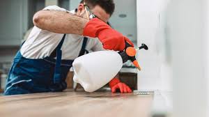 Best Termite Inspection and Treatment  in Doraville, GA